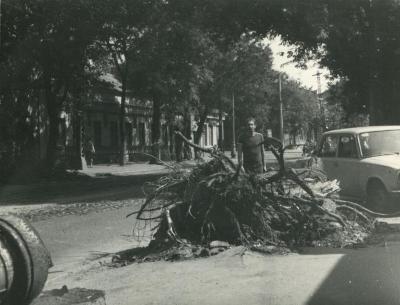 Акція «Вони нам за це відплатять» (Они нам ответят за это)
