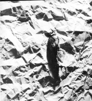 «Нульова печать». Фото елементів інсталяції Дмитра Орєшнікова