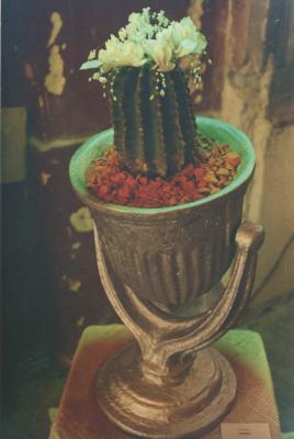 "Загибель Титаніка". Фото роботи "Секрет". Сергій Канчура
