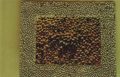 "Новий файл". Фото роботи "g.g.m.z". Олександр Шевчук