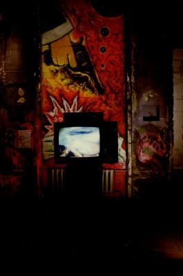 "Неприродній добір". Фото відеоінсталяції "Погладь мене, коханий". Олександр Шевчук