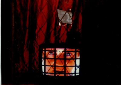 "Неприродній добір". Фото відеоінсталяції "Мовчання Доктора Лектера". Віктор Маляренко