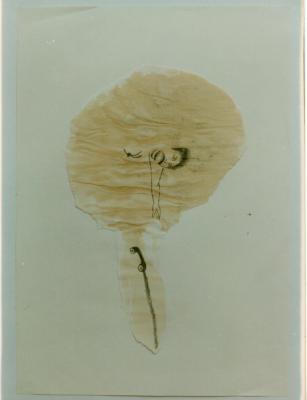 "Вільна зона 2: Поза графікою". Фото графічних робіт Ігоря Гусєва