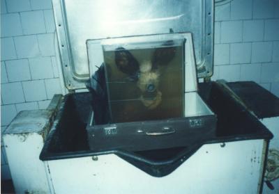 "Кабінет доктора Франкенштейна. Неохімеризм". Фото роботи "Валіза лікаря". Олександр Панасенко