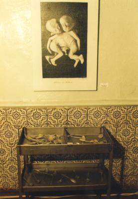 "Кабінет доктора Франкенштейна. Неохімеризм". Фото роботи "Nabelschnur und nabelbruch". Олександр Гнилицький