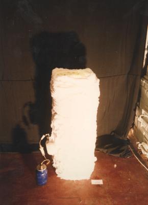 "Кабінет доктора Франкенштейна. Неохімеризм". Фото роботи "Blue blood". Валерія Трубіна