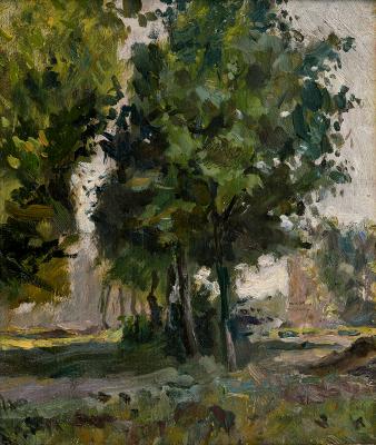 Дерева у місті