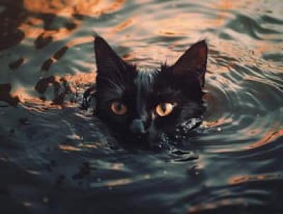 Із серії «Херсонські файли»