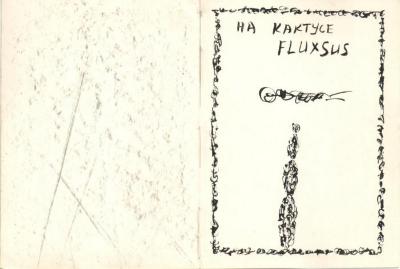 На хейзері кактус, на кактусі Fluxsus